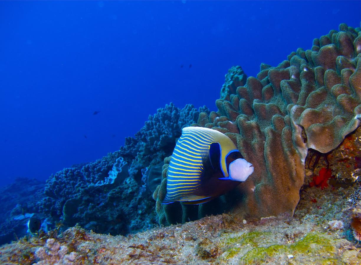 Coral Divers Sodwana Bay Exterior photo